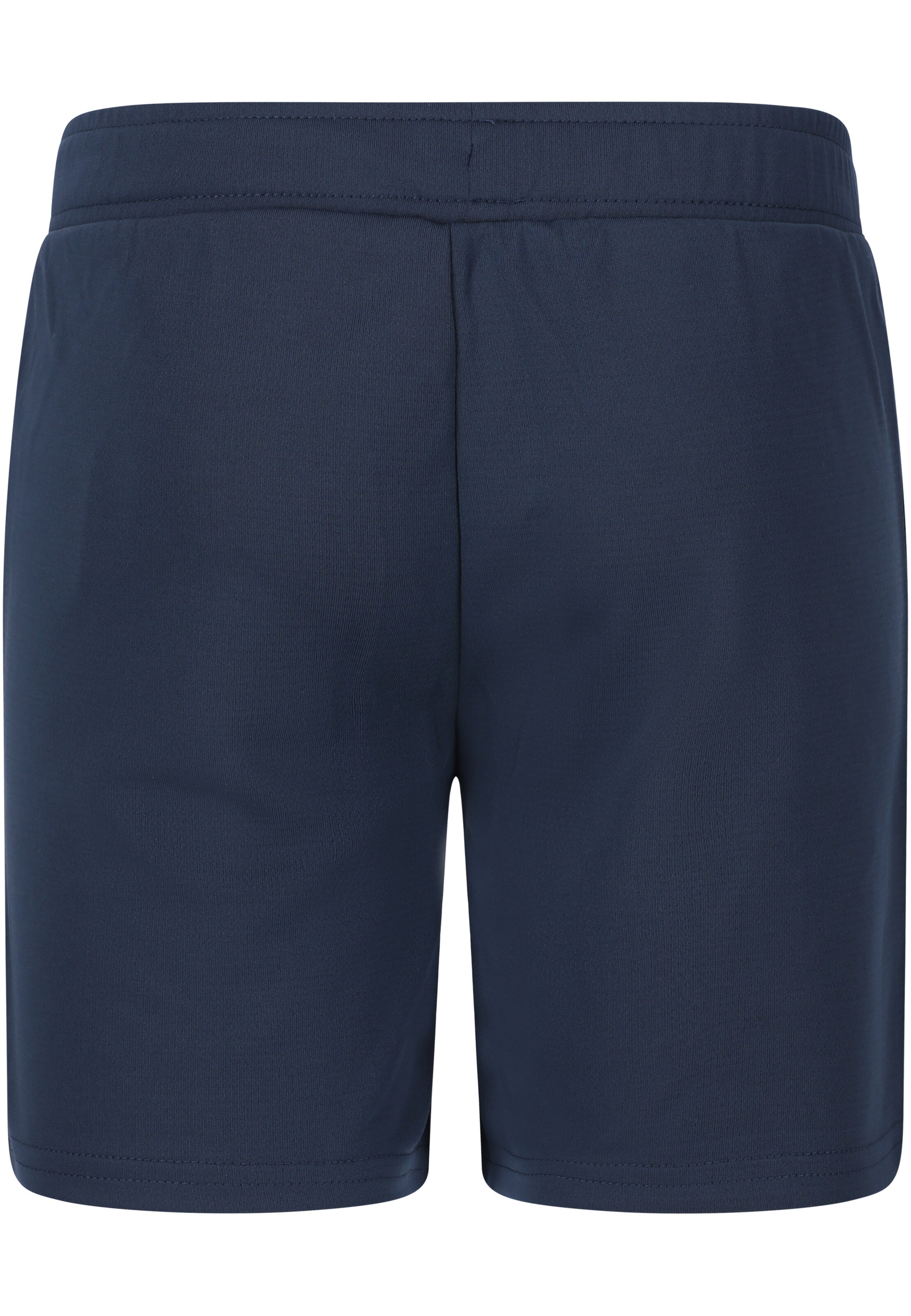 ZigZag Regular Workout Pants 'Proton' in Blue