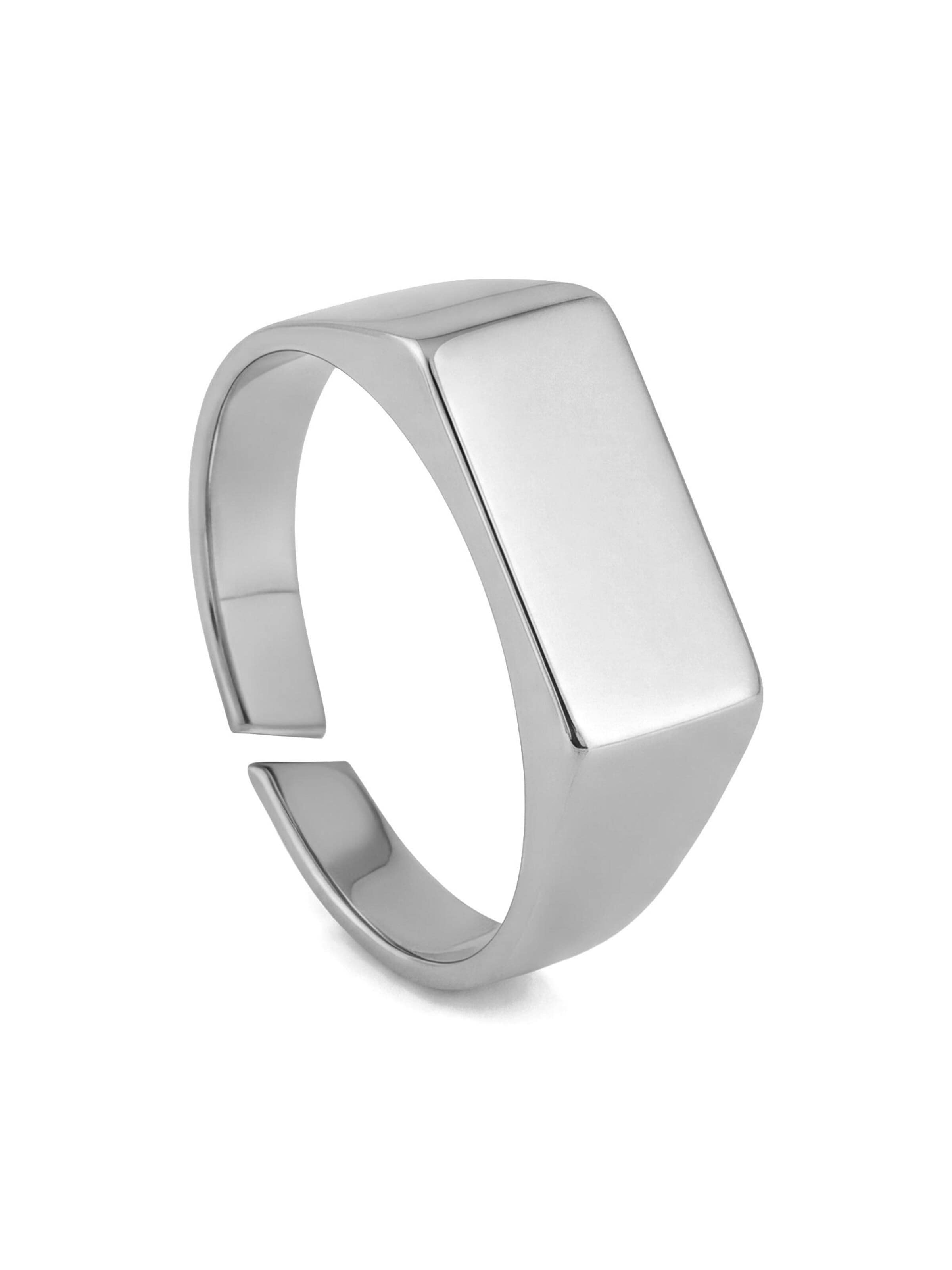 Akitsune Ring 'Fortis' in Silver: front