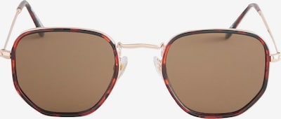 Next Aurinkolasit värissä ruskea, Tuotenäkymä