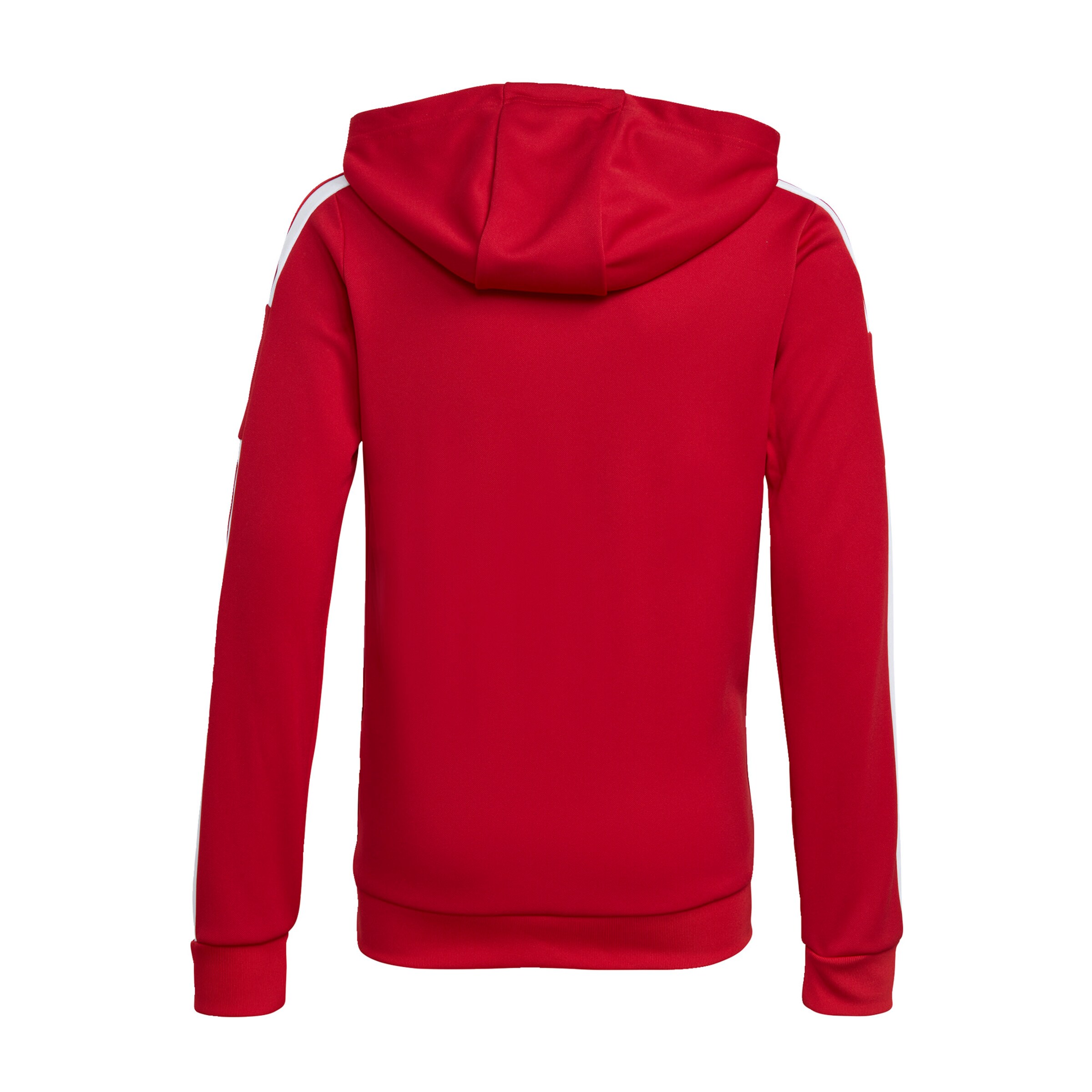 ADIDAS PERFORMANCE Sportsweatshirt 'Squadra 21' in Rot