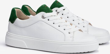 LLOYD Sneakers in White