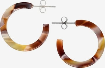 Boucles d'oreilles 'Acetat Anni' Fräulein Wunder en marron : devant