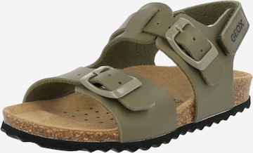 GEOX Sandals & Slippers 'Ghita' in Green: front