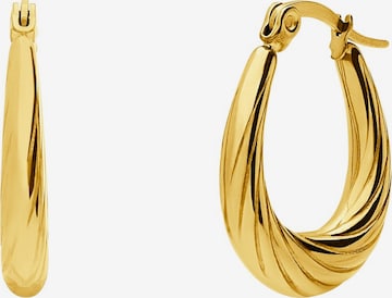 Boucles d'oreilles Lucardi en or : devant