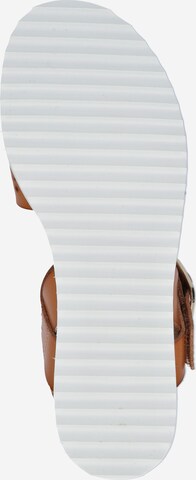 SKECHERS Sandali s paščki 'DESERT KISS - SUNNY FLAIR' | rjava barva