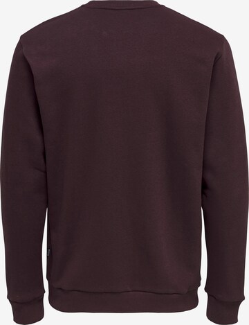 Only & Sons Regular Fit Sweatshirt 'Ceres' in Lila