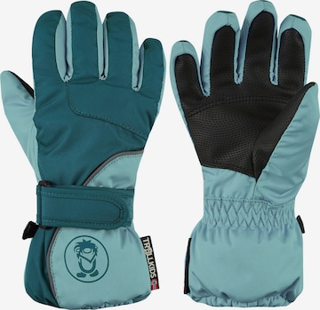TROLLKIDS Gloves in Blue: front