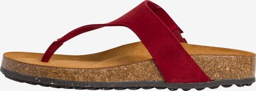 TAMARIS Teenslipper in Rood