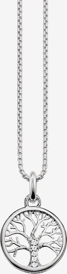 Thomas Sabo Necklace in Silver / Transparent, Item view