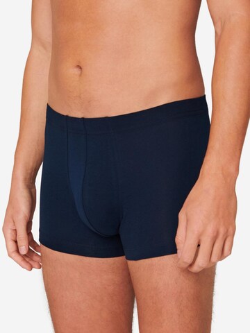 SCHIESSER Boxer shorts '95/5 Essentials - Organic Cotton' in Blue