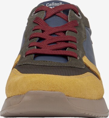 Callaghan Sneakers laag in Gemengde kleuren