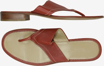 TOSCA BLU Sandalen 41 in Rot: Vorderseite