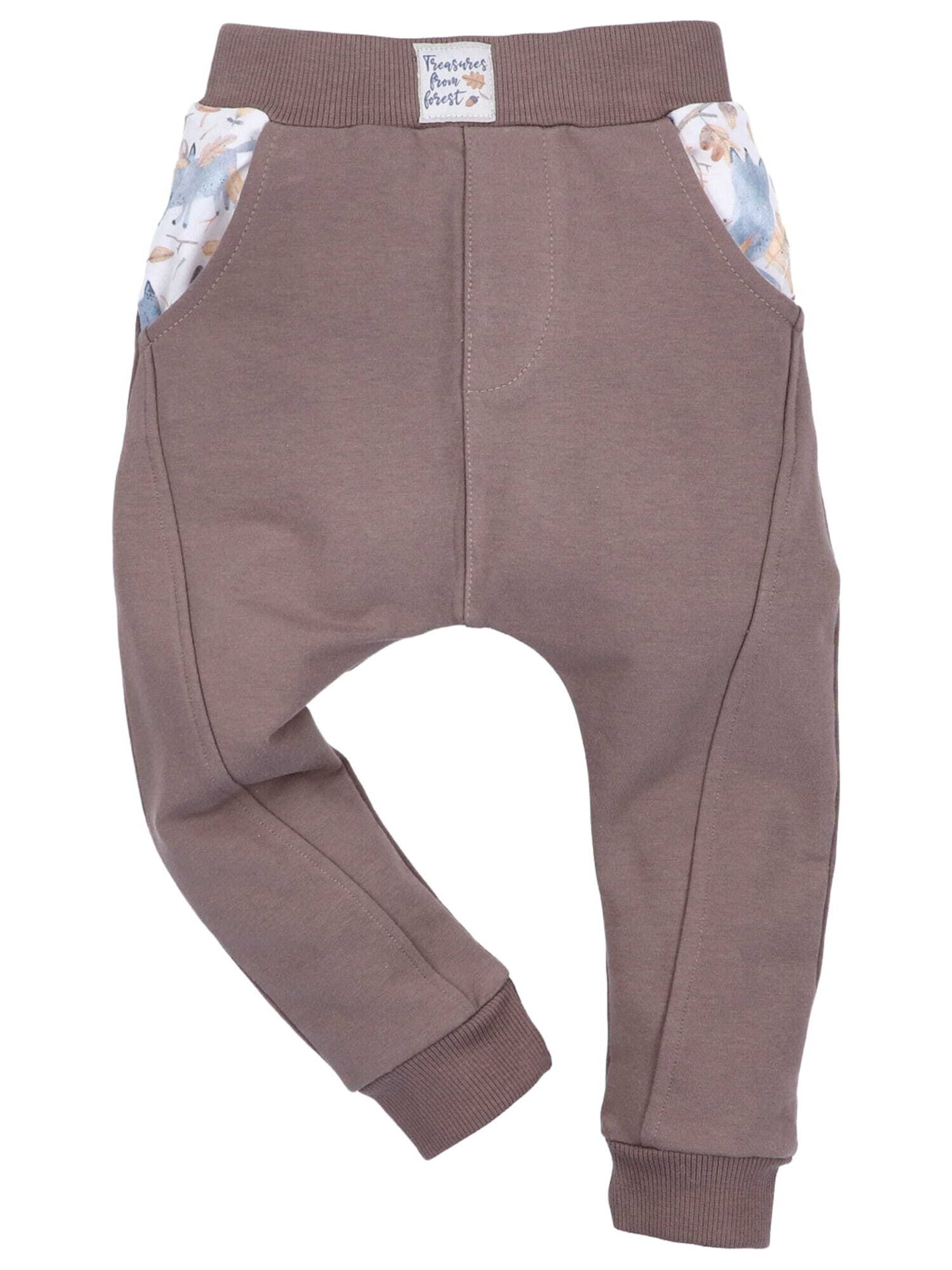 Regular Pantalon 'Forest Treasures' NINI en marron : devant