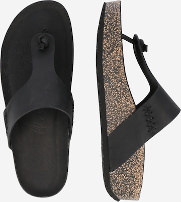 PANAMA JACK T-Bar Sandals 'Quinoa' in Black