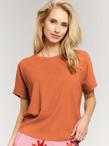 PROTEST Shirt 'PRTLouas' in Brown