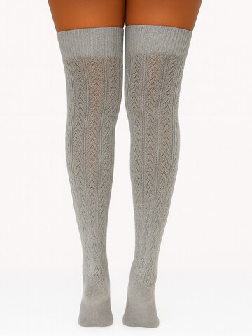 Lycille Over the Knee Socks 'Lycille' in Grey