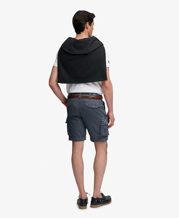 Superdry & Co Regular Cargoshorts in Blau
