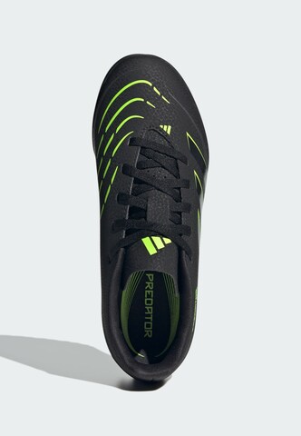 ADIDAS PERFORMANCE - Calzado deportivo 'Predator Club' en negro