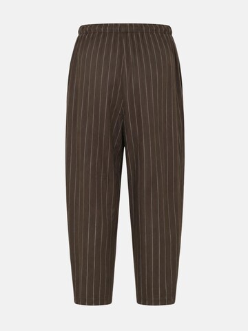 IMPERIAL Regular Trousers in Brown