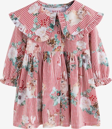 raudona Next Suknelė: priekis