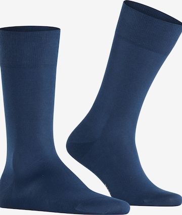 FALKE Socks 'Cool 24/7' in Blue: front