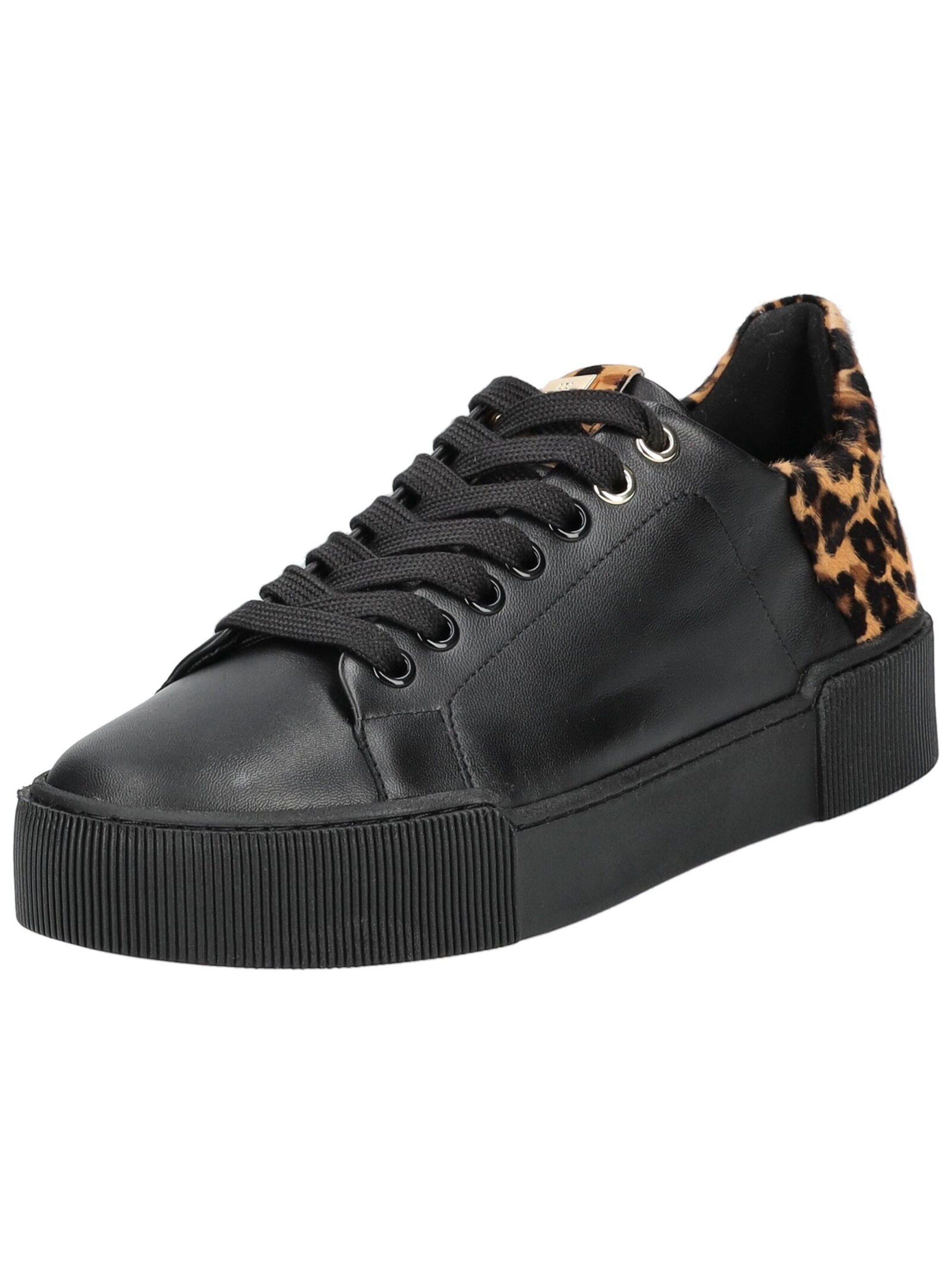 Sneaker bassa di Högl in nero: frontale