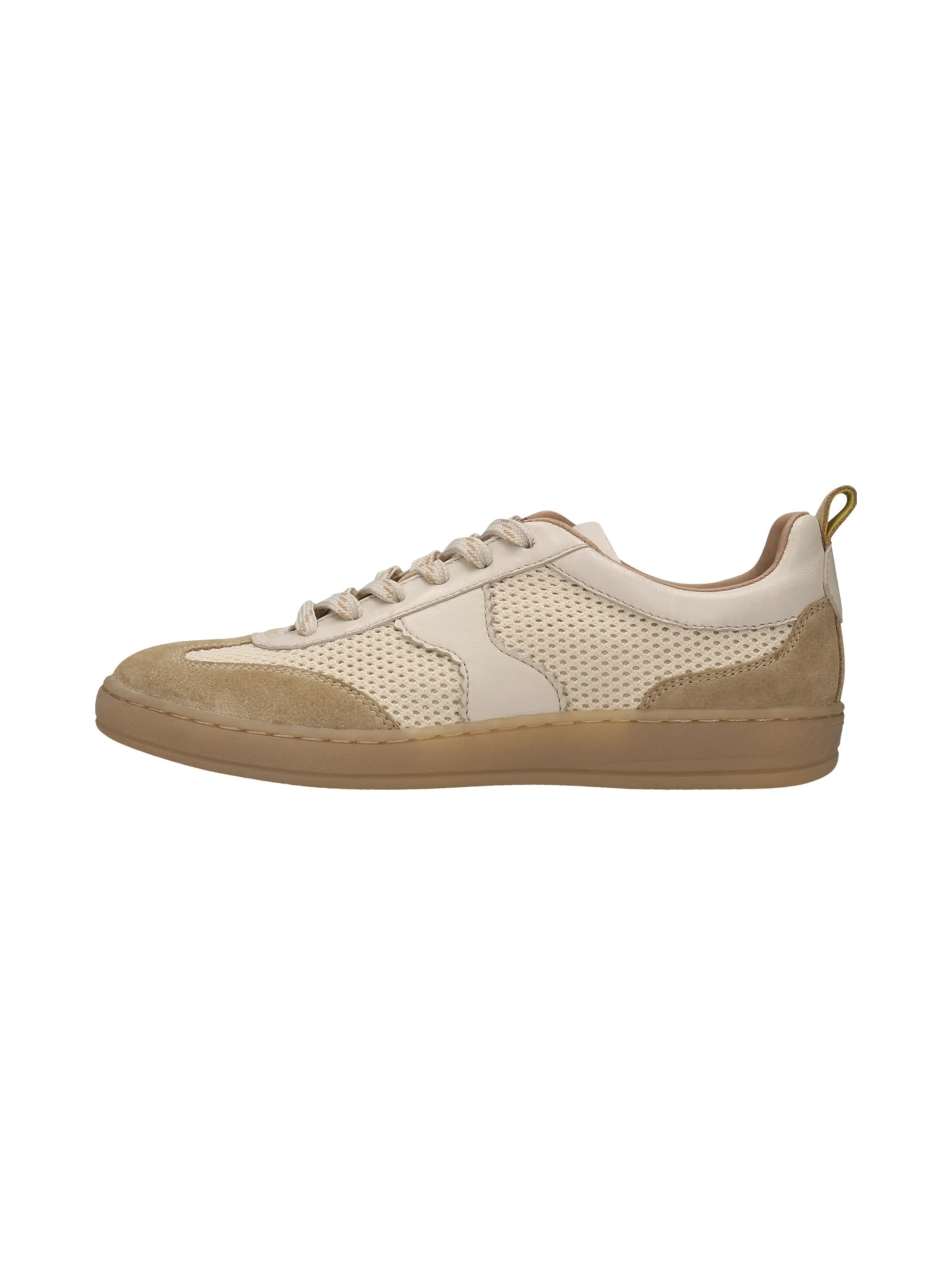 Sneaker bassa di SALAMANDER in beige