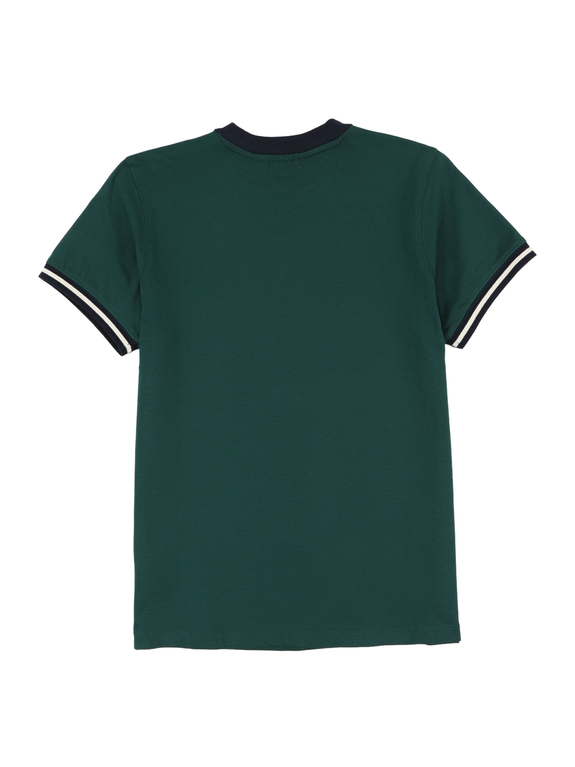 ELLESSE Shirt 'Fratelli' in Green