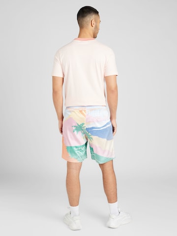 Sergio Tacchini Regular Shorts 'RIVIERA' in Grün