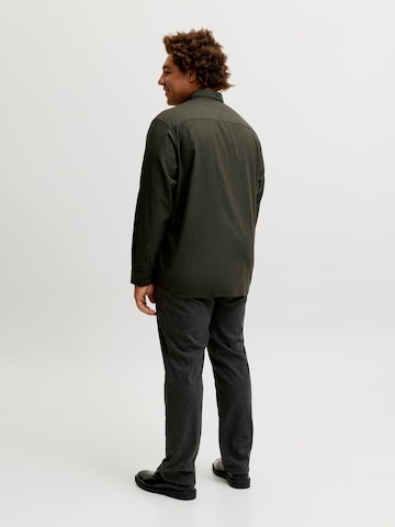 JACK & JONES Regular Fit Skjorte i grøn