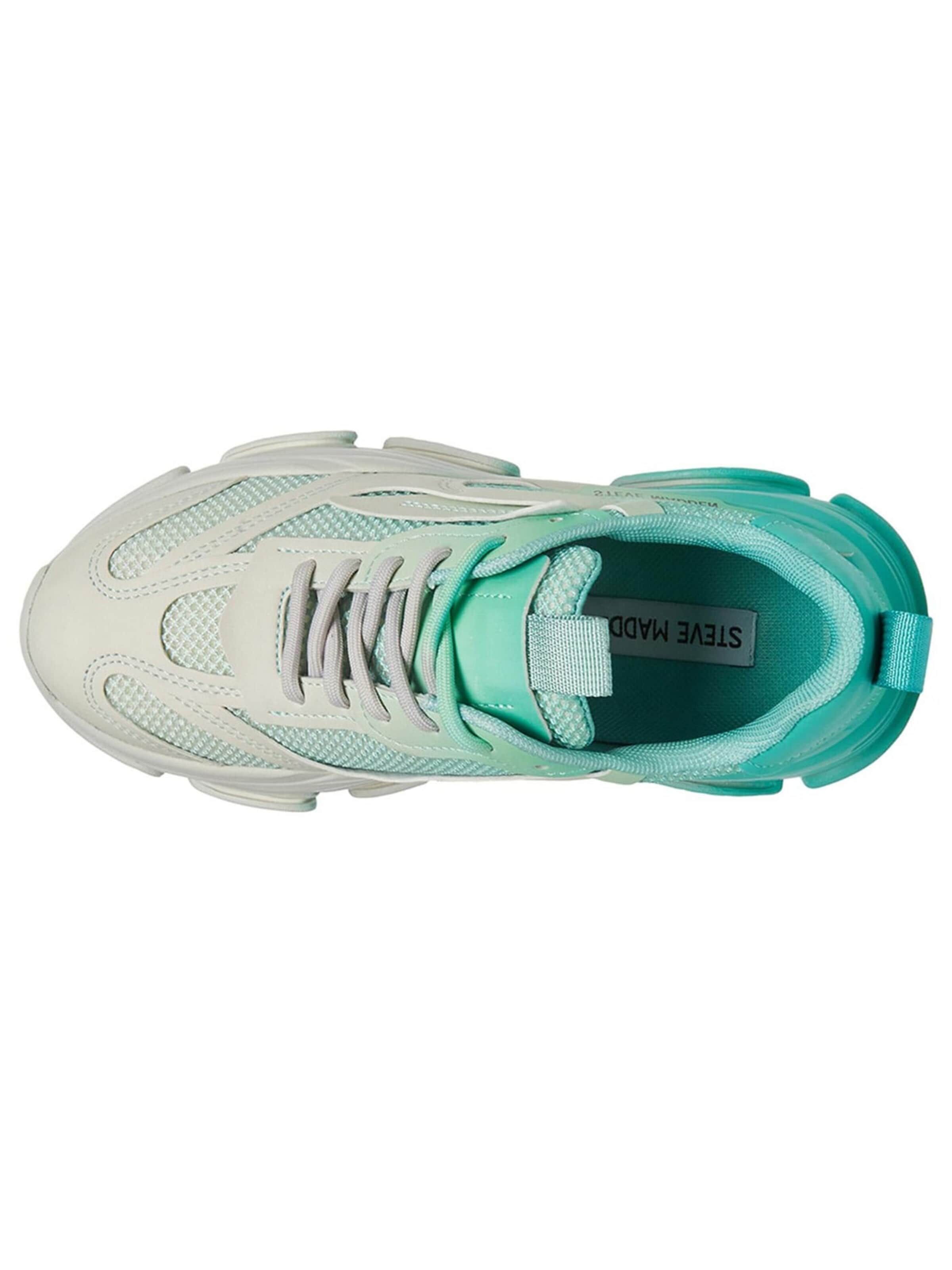Chaussure de sport à lacets STEVE MADDEN en mélange de couleurs