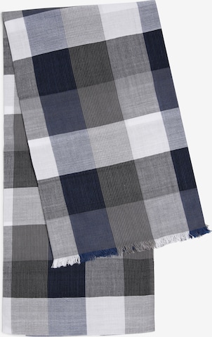 Nils Sundström Scarf in Mixed colors: front