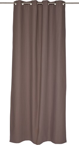 TOM TAILOR Curtains & Drapes in Brown