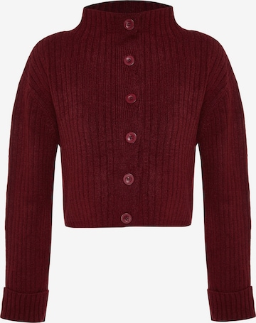 Trendyol Strickjacke in Rot: Vorderseite