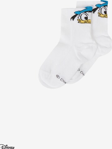 CALZEDONIA Socks in White: front