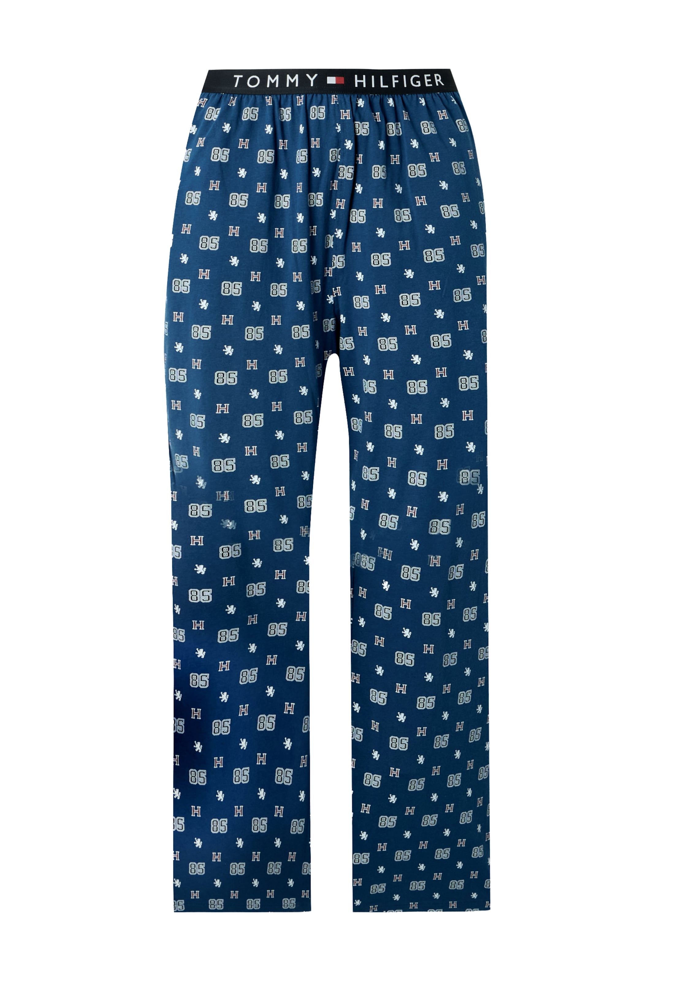 Tommy Hilfiger Underwear - Pantalón de pijama en azul: frente