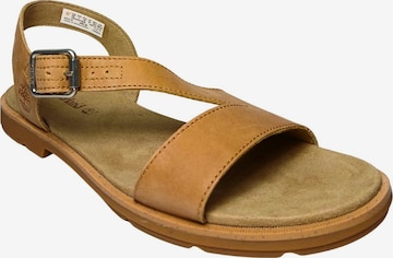 TIMBERLAND - Sandália em castanho: frente