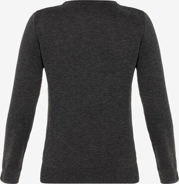 CIPO & BAXX Sweater in Grey