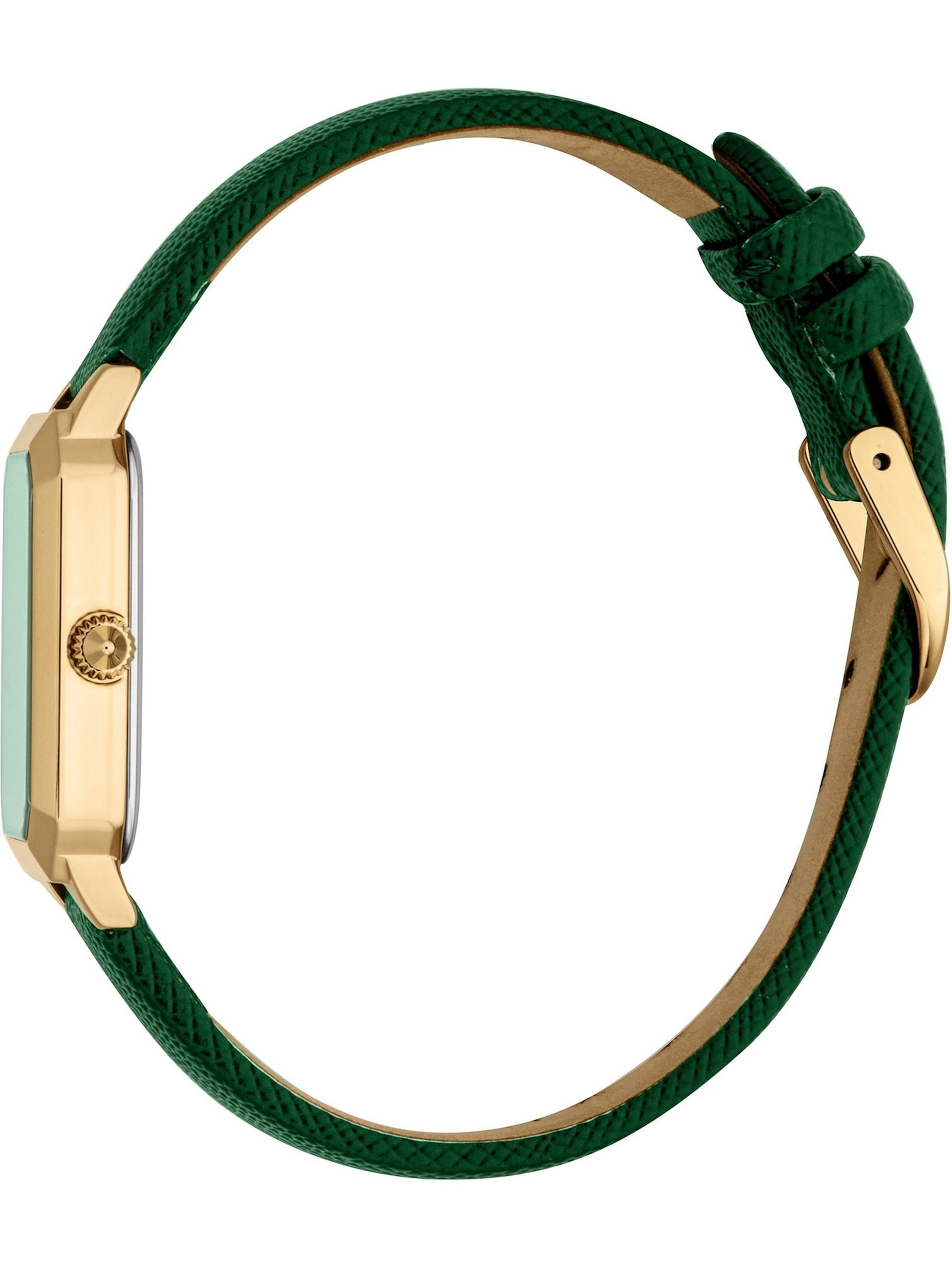 Just Cavalli Uhr in Grün