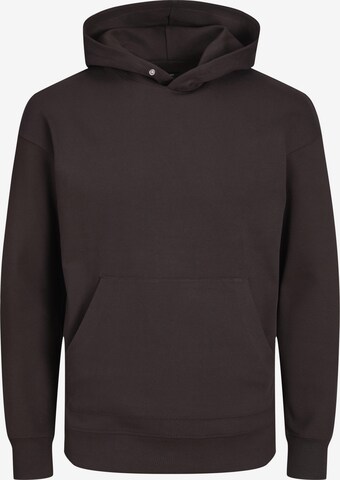 JACK & JONES Sweatshirt 'Sanchez' in Brown: front