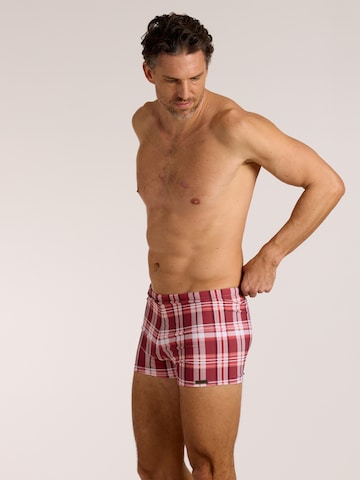 wavebreaker Swim Trunks in Red