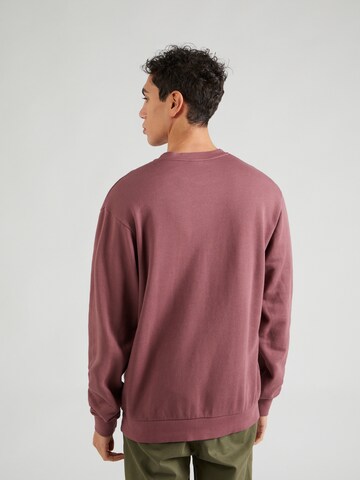 Iriedaily Sweatshirt 'Waterkeeper' in Roze