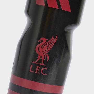 Borraccia 'Liverpool FC' di ADIDAS PERFORMANCE in nero