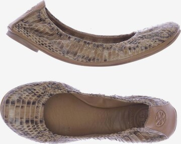 Tory Burch Flats & Loafers in 37,5 in Beige: front
