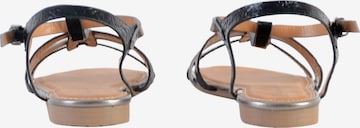 Sandales The Divine Factory en gris