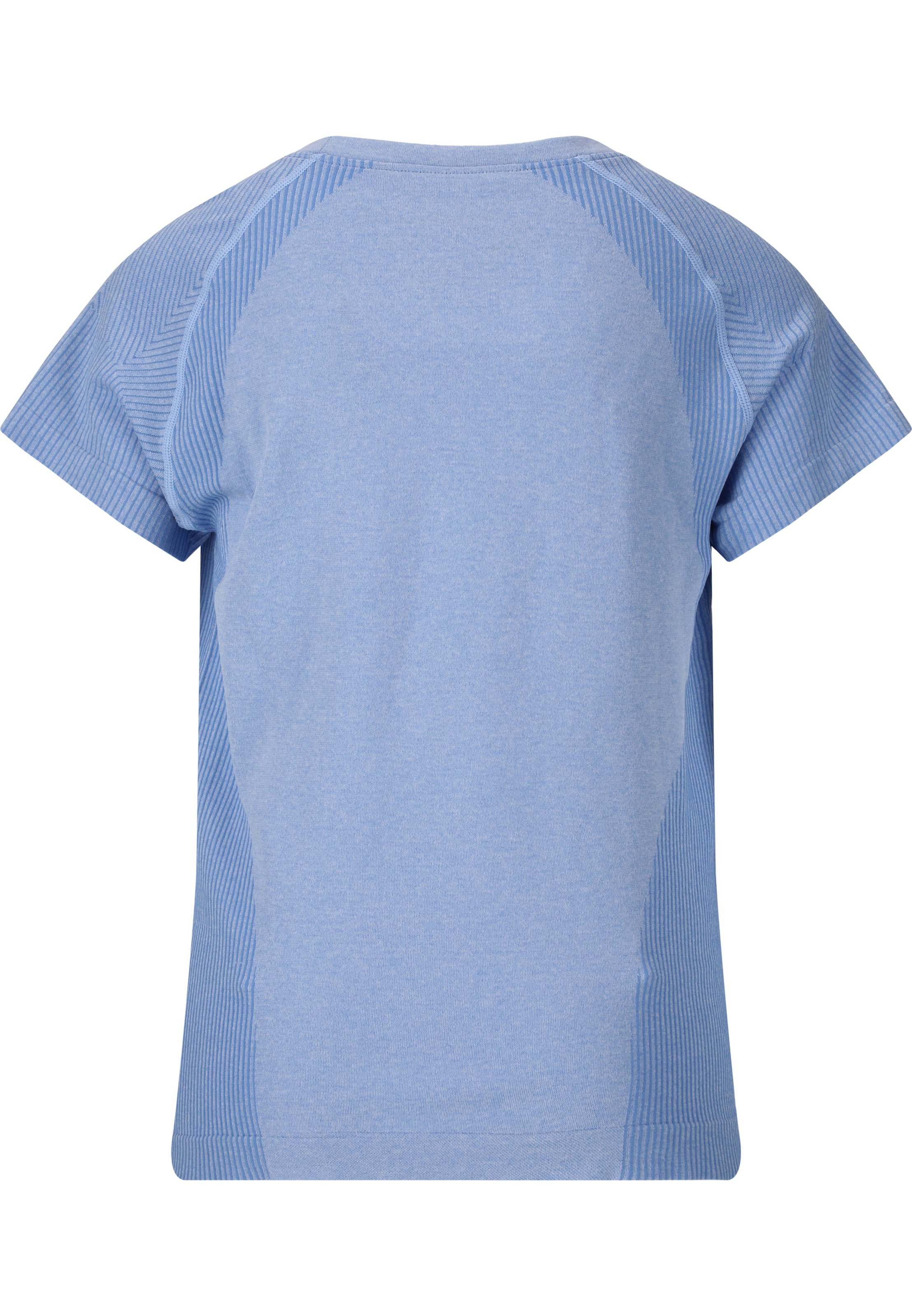 ENDURANCE Performance shirt 'Halen' in Blue