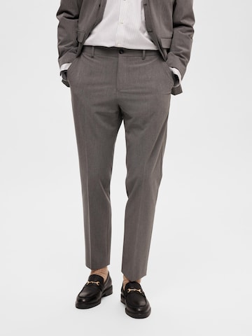 Slimfit Pantaloni con piega frontale 'Liam' di SELECTED HOMME in grigio: frontale