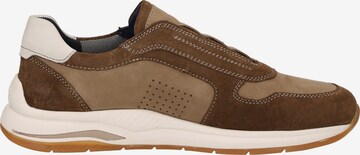 SIOUX Sneakers ' Turibio-709-J' in Brown