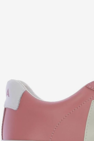 Veja Sneaker 38 in Pink