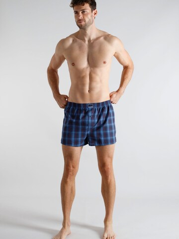 TOM TAILOR - Calzoncillo boxer en azul: frente